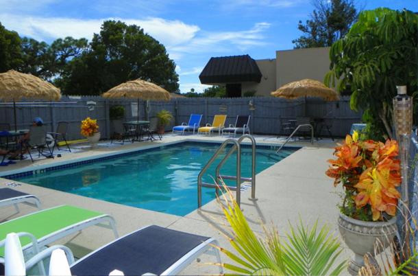 Heated outdoor pool at Island Breeze Inn with lounge chairs and tropical plants