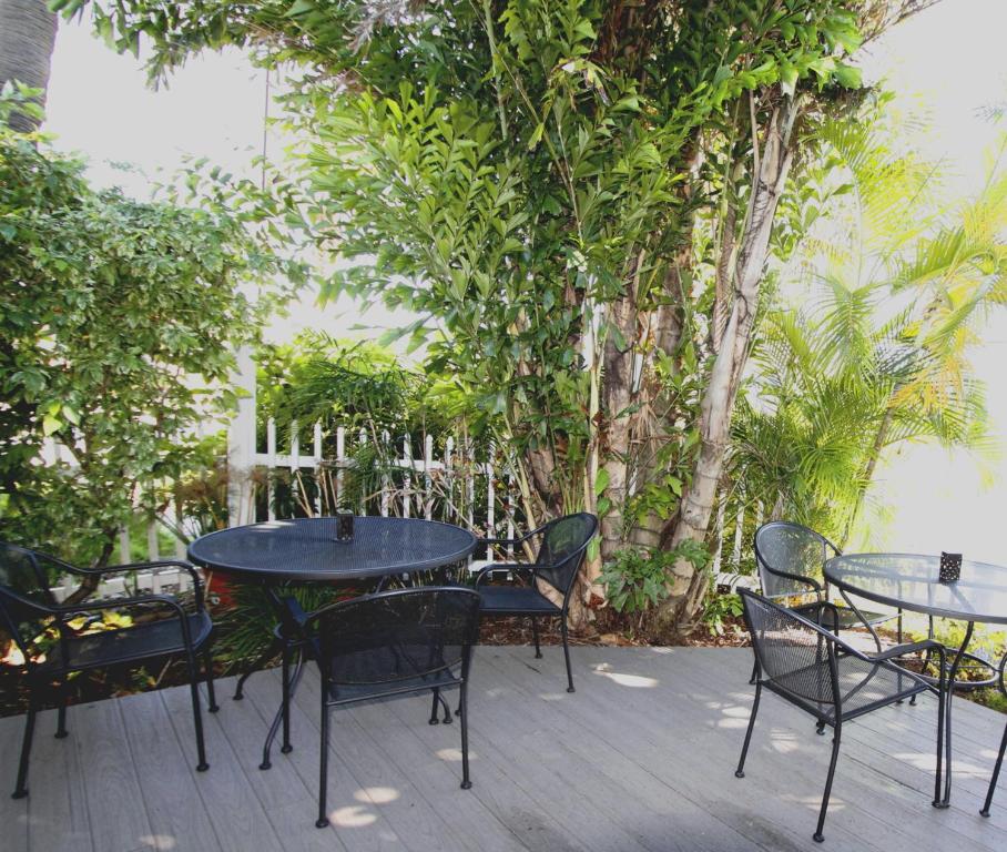 Shaded outdoor seating with wrought-iron tables under tropical trees